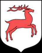 Sprawdzona wróżka Zabłudów